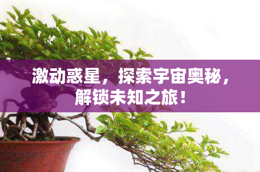 激动惑星,探索宇宙奥秘,解锁未知之旅! 激动惑星,探索宇宙奥秘,解锁未知之旅!