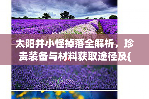 太阳井小怪掉落全解析，珍贵装备与材料获取途径及{掉落概率}