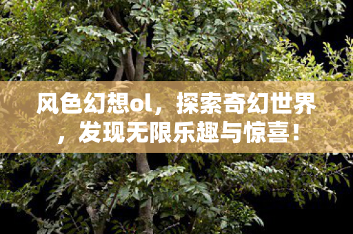 风色幻想ol，探索奇幻世界，发现无限乐趣与惊喜！