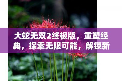 大蛇无双2终极版,重塑经典,探索无限可能,解锁新挑战! 大蛇无双2终极版,重塑经典,探索无限可能,解锁新挑战!
