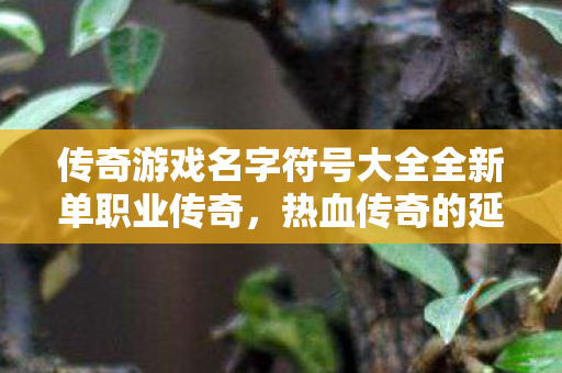 传奇游戏名字符号大全全新单职业传奇,热血传奇的延续与革新,单职业传奇,热血传奇的延续与革新 传奇游戏名字符号大全全新单职业传奇,热血传奇的延续与革新,单职业传奇,热血传奇的延续与革新