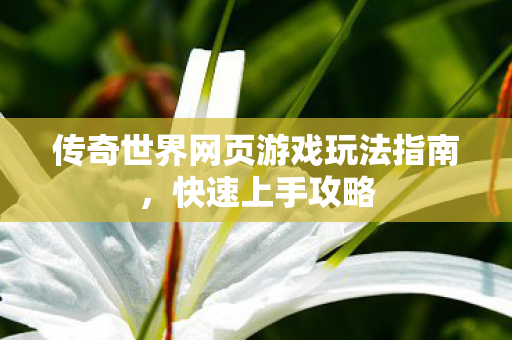传奇世界网页游戏玩法指南图片