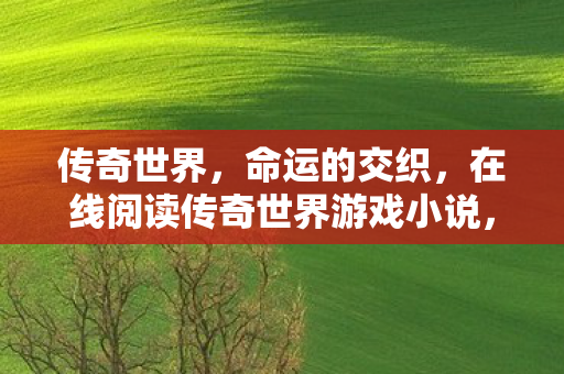 在线阅读传奇世界游戏小说图片