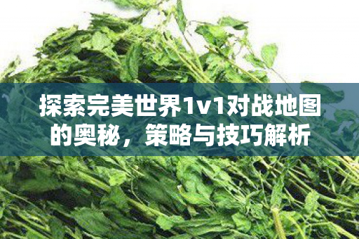 探索完美世界1v1对战地图的奥秘，策略与技巧解析