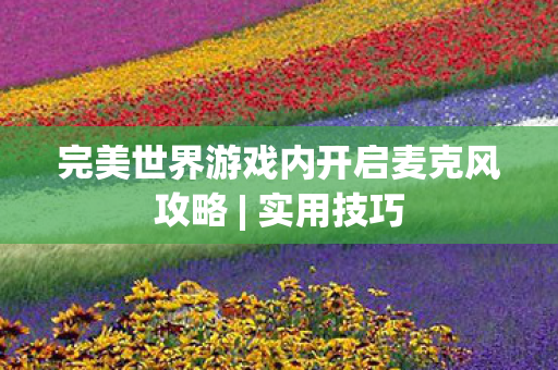 完美世界游戏内开启麦克风攻略图片