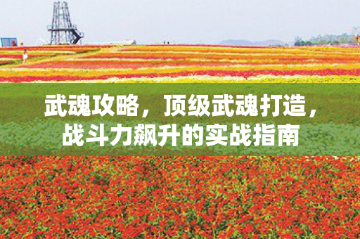 武魂攻略，顶级武魂打造，战斗力飙升的实战指南