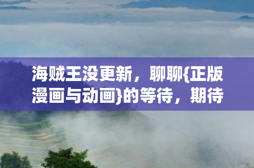 海贼王没更新，聊聊{正版漫画与动画}的等待，期待新章节！
