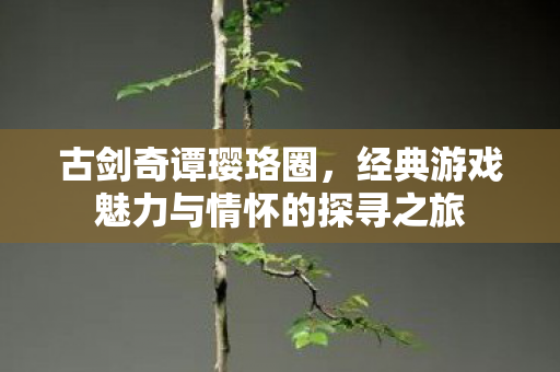 古剑奇谭璎珞圈，经典游戏魅力与情怀的探寻之旅