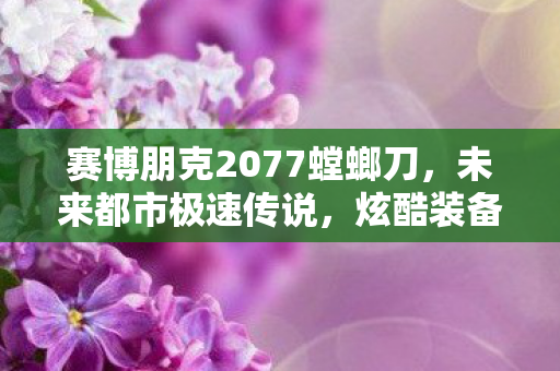 赛博朋克2077螳螂刀,未来都市极速传说,炫酷装备,打造你的赛博朋克风格! 赛博朋克2077螳螂刀,未来都市极速传说,炫酷装备,打造你的赛博朋克风格!