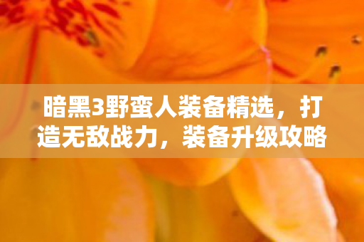 暗黑3野蛮人装备精选，打造无敌战力，装备升级攻略必知！