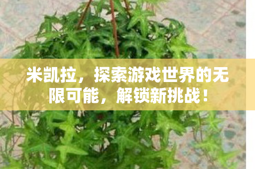 米凯拉,探索游戏世界的无限可能,解锁新挑战! 米凯拉,探索游戏世界的无限可能,解锁新挑战!
