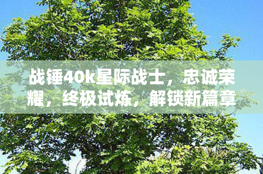 战锤40k星际战士图片
