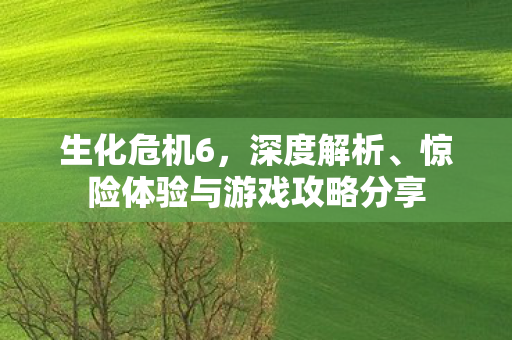 生化危机6,深度解析、惊险体验与游戏攻略分享 生化危机6,深度解析、惊险体验与游戏攻略分享