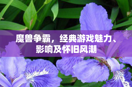 魔兽争霸，经典游戏魅力、影响及怀旧风潮