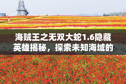 海贼王之无双大蛇1.6隐藏英雄揭秘，探索未知海域的奇幻之旅，解锁新角色！