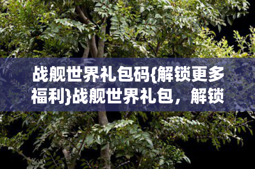 战舰世界礼包码{解锁更多福利}战舰世界礼包，解锁无限可能的战舰之旅