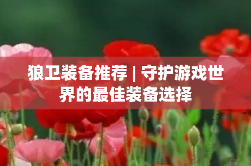 狼卫装备推荐 | 守护游戏世界的最佳装备选择