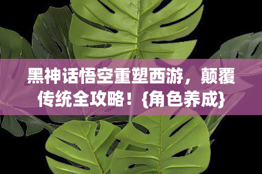 黑神话悟空重塑西游，颠覆传统全攻略！{角色养成}