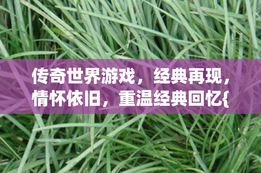 传奇世界游戏图片