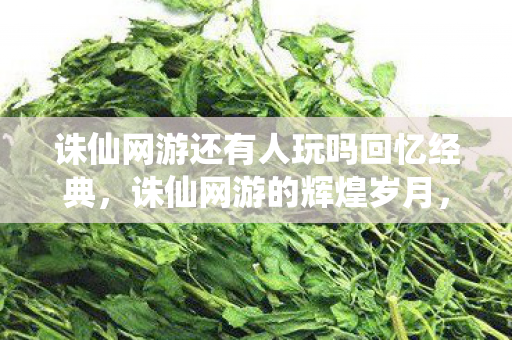 诛仙网游还有人玩吗回忆经典,诛仙网游的辉煌岁月,经典再现!诛仙网游的辉煌岁月,你记得多少? 诛仙网游还有人玩吗回忆经典,诛仙网游的辉煌岁月,经典再现!诛仙网游的辉煌岁月,你记得多少?