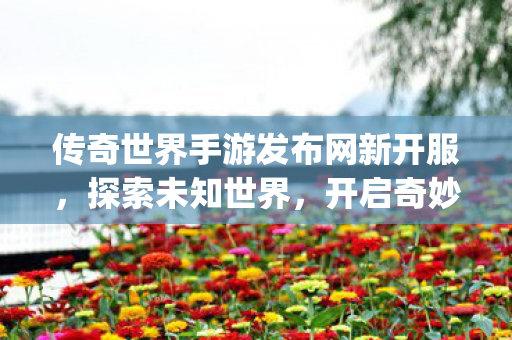 传奇世界手游发布网新开服图片