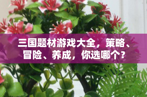 三国题材游戏大全，策略、冒险、养成，你选哪个？