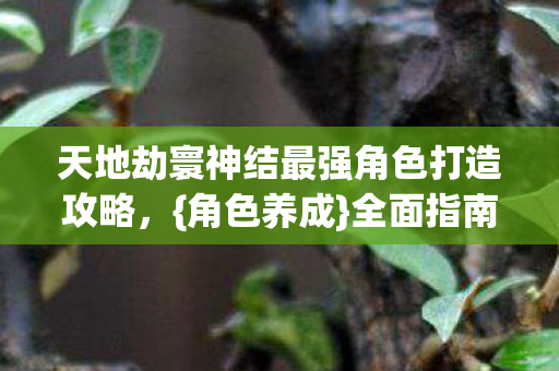 天地劫寰神结最强角色打造攻略，{角色养成}全面指南