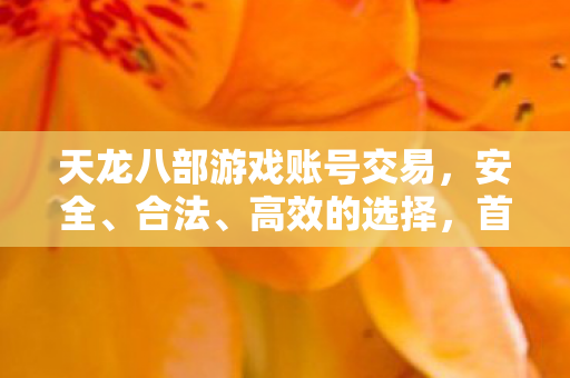 天龙八部游戏账号交易，安全、合法、高效的选择，首选平台！