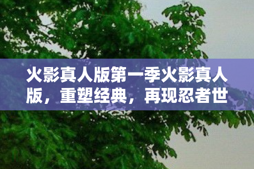 火影真人版第一季火影真人版，重塑经典，再现忍者世界，火影真人版，重塑经典，再现忍者世界