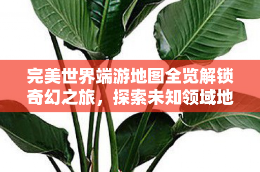 完美世界端游地图全览解锁奇幻之旅，探索未知领域地图攻略