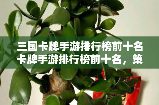 三国卡牌手游排行榜前十名卡牌手游排行榜前十名，策略与激情的碰撞，三国卡牌手游激战榜，策略与激情的巅峰对决