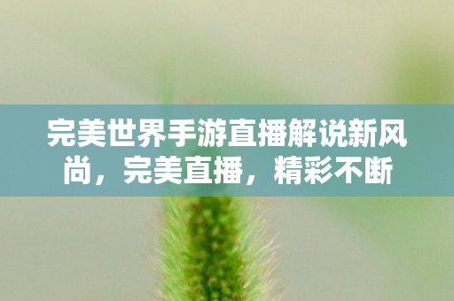完美世界手游直播解说新风尚图片