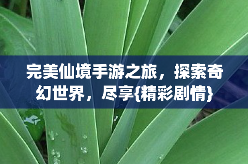 完美仙境手游之旅，探索奇幻世界，尽享{精彩剧情}