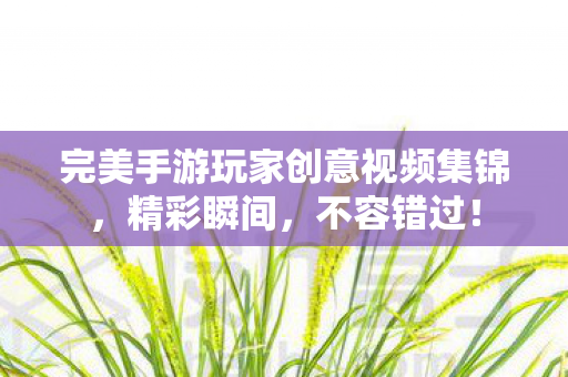 完美手游玩家创意视频集锦,精彩瞬间,不容错过! 完美手游玩家创意视频集锦,精彩瞬间,不容错过!