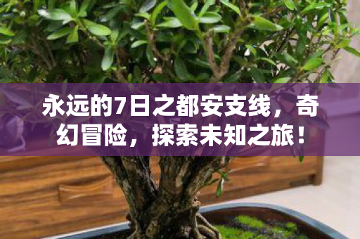 永远的7日之都安支线图片