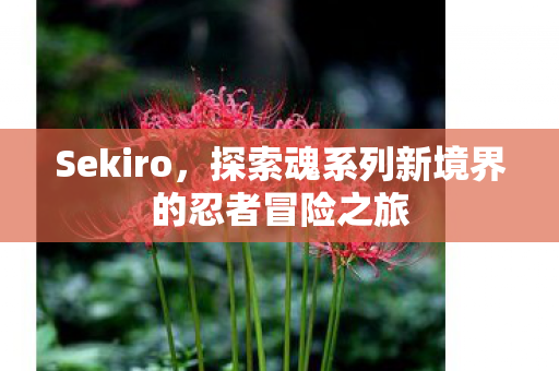 Sekiro，探索魂系列新境界的忍者冒险之旅