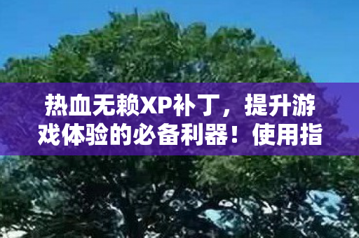 热血无赖XP补丁,提升游戏体验的必备利器!使用指南来袭! 热血无赖XP补丁,提升游戏体验的必备利器!使用指南来袭!
