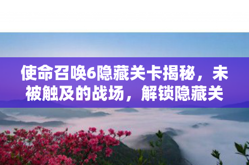 使命召唤6隐藏关卡揭秘，未被触及的战场，解锁隐藏关攻略