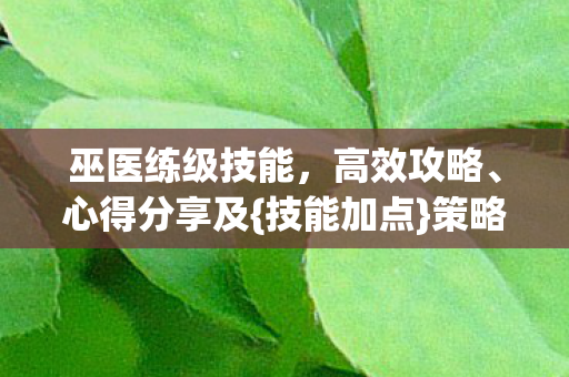 巫医练级技能，高效攻略、心得分享及{技能加点}策略