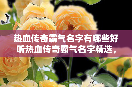 热血传奇霸气名字有哪些好听热血传奇霸气名字精选,铸就传奇霸业的非凡之名,热血传奇,霸气名字精选,铸就传奇霸业 热血传奇霸气名字有哪些好听热血传奇霸气名字精选,铸就传奇霸业的非凡之名,热血传奇,霸气名字精选,铸就传奇霸业