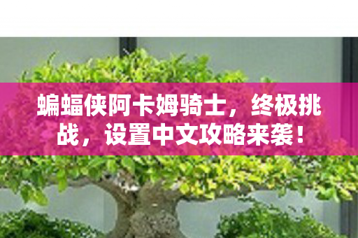蝙蝠侠阿卡姆骑士,终极挑战,设置中文攻略来袭! 蝙蝠侠阿卡姆骑士,终极挑战,设置中文攻略来袭!