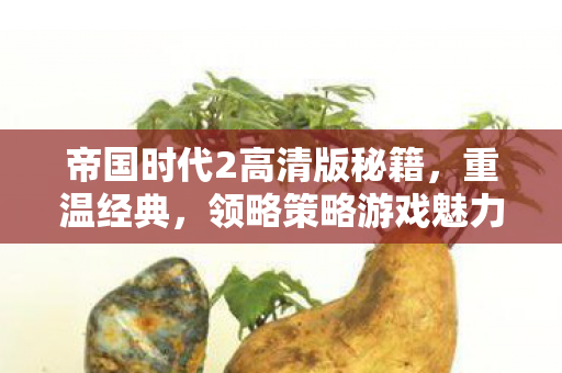 帝国时代2高清版秘籍，重温经典，领略策略游戏魅力，解锁无限可能！